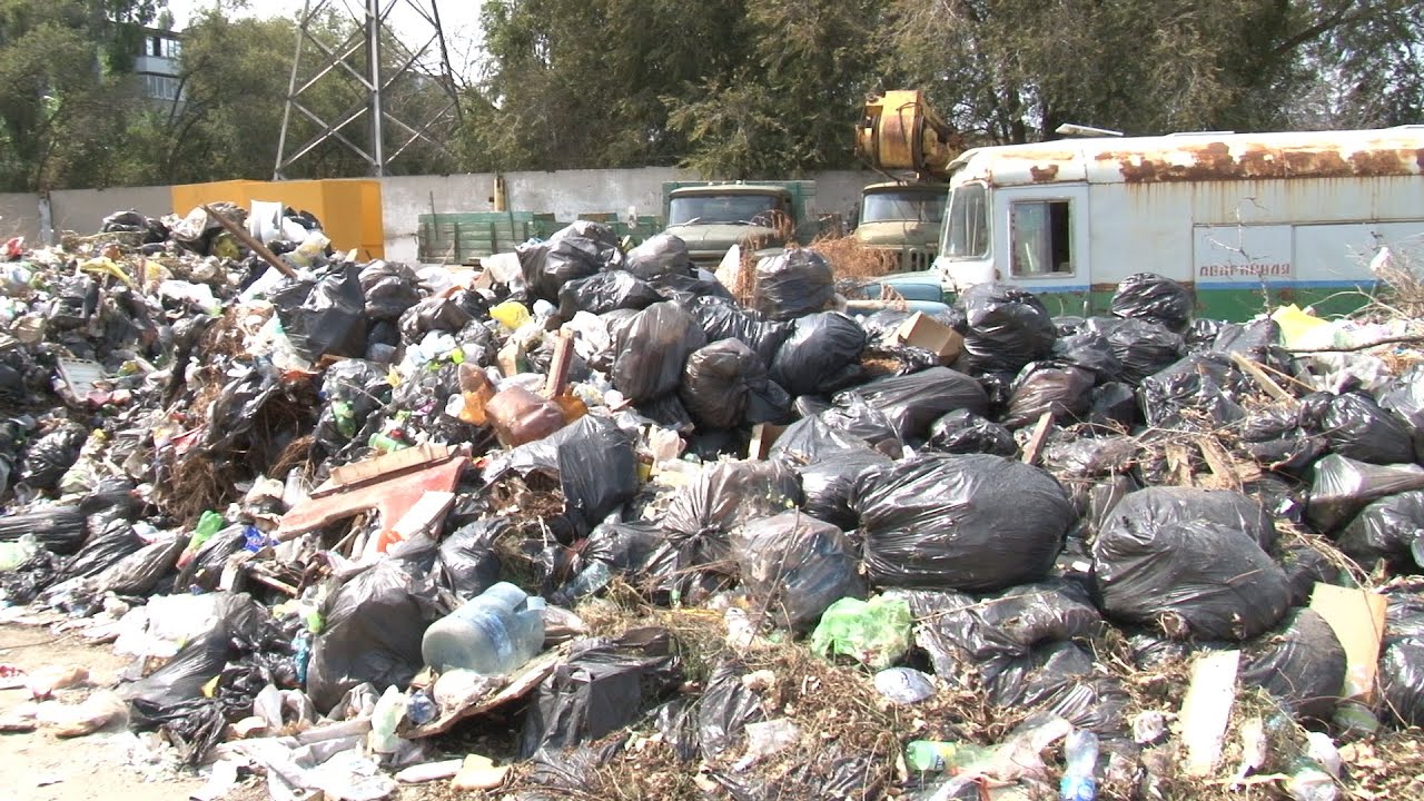 Глава ТЗР Волгограда сдержал обещание вывезти скопившийся мусор ...