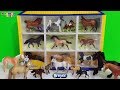 Coleccion de Caballos 🐎 de Breyer | Videos para niños | Mimonona Stories Coleccion de Caballos 🐎 de Breyer | Videos para niños | Mimonona Stories
