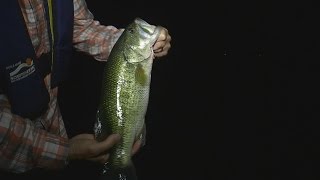 Night Fishing For B On Kentucky Lake
