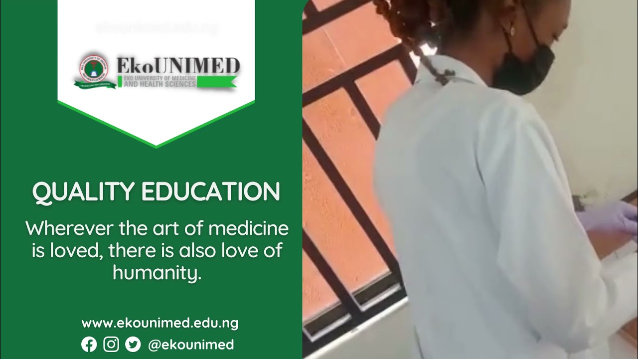 What We Offer (at EkoUNIMED)