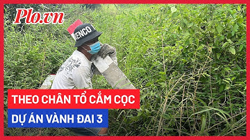 Lội bùn, băng rạch cùng tổ cắm cọc dự án vành đai 3 TP.HCM - PLO