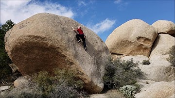 Joshua Tree - King Smear AKA Friction Addiction