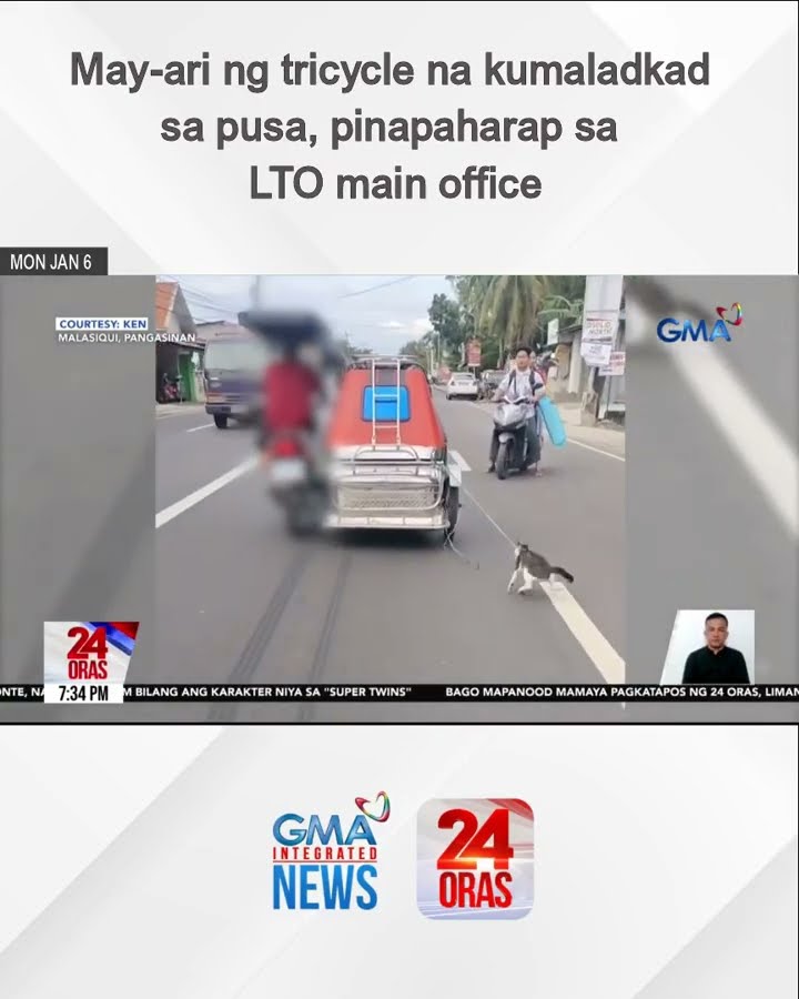 May-ari ng tricycle na kumaladkad sa pusa, pinapaharap sa LTO main office | 24 Oras