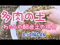 【多肉植物Vlog#22】多肉の土…わたしの配合土。土って気になりますよね。