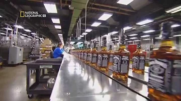 Quais os tipos de Jack Daniels?