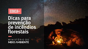 O que podemos fazer para evitar os incêndios?