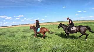 5 всадников. Красота полей и неба.🌾🌿🌤