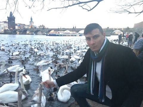 პოეტი შოთა წურწუმია: შენ ერთადერთი მეიმედები პრაღა  04.01.2017.