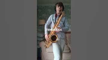 AXEL F on FOUR DIFFERENT INSTRUMENTS?! #sax #saxplayer #clarinet #axelf #crazyfrog #shorts #music