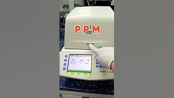Real Time PCR