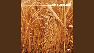 ask the wind
