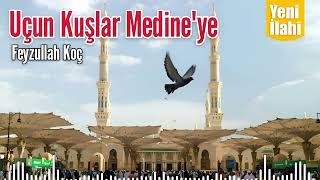 Uçun Kuşlar Medineye - Feyzullah Koç