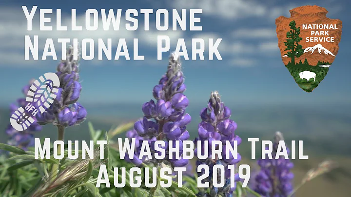 Mt Washburn Trail - Yellowstone National Park, WY ...