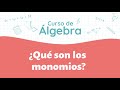 Quiz sobre Monomios
