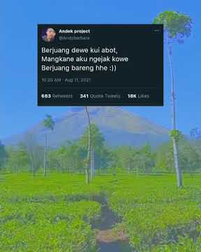 Story Wa Keren Bahasa jawa terbaru