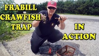 Frabill Crawfish Trap Unboxing and Demonstration 