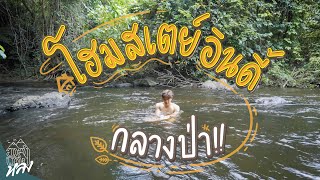 บ้านต้นไม้ร้อยหวัน โฮมสเตย์อินดี้กลางป่า | อาสาพาไปหลง - YouTube