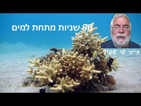 וִידֵאוֹ: יופי מדהים של שונית אלמוגים, או מה זה אלמוגים