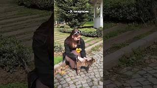 Нашли тигрёнка в Гульхане #shorts #newvideo #cat #cute #beautiful #vlog #turkey