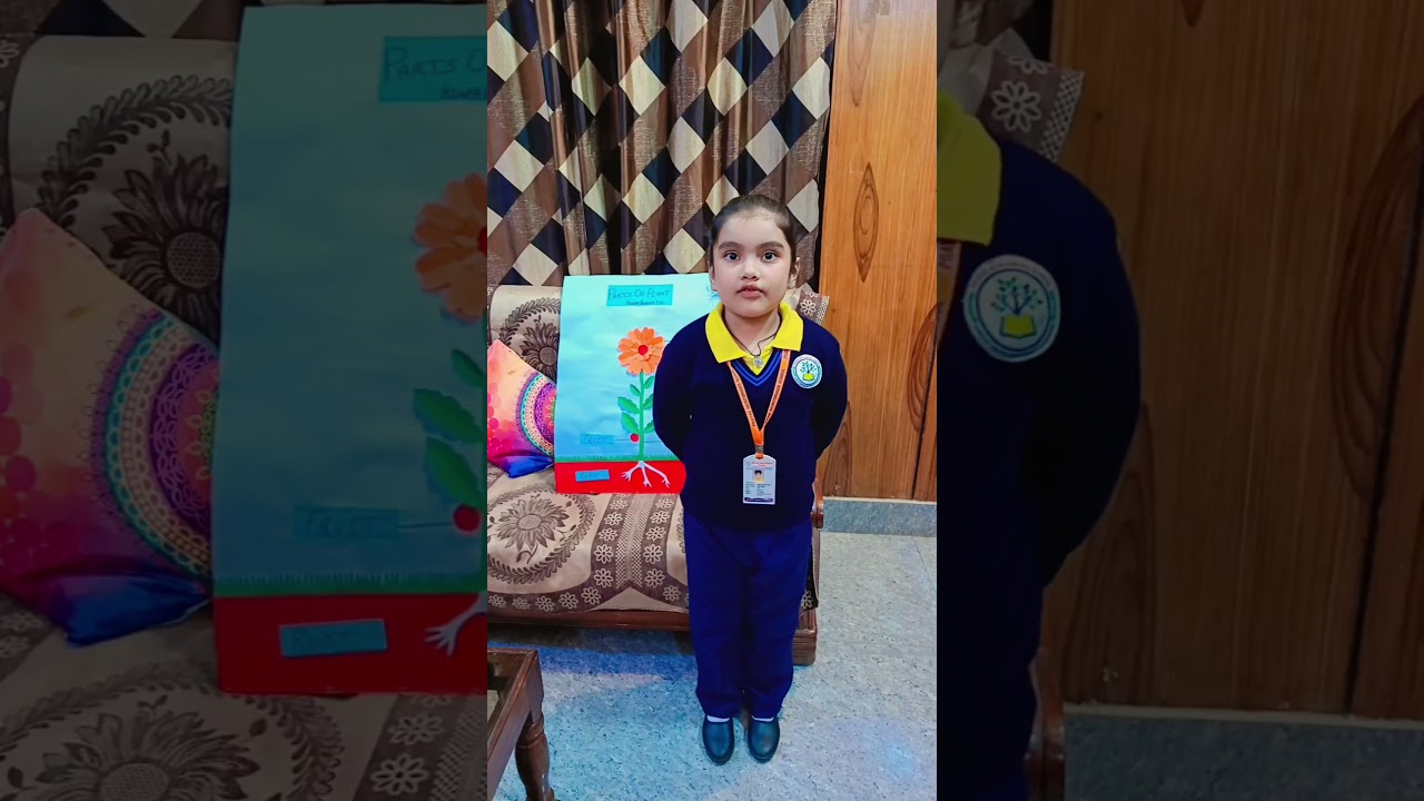 Parts Of Plants Model ☘️