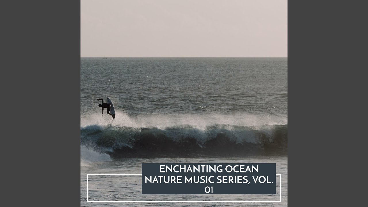 Oceanic Morning Birds Motion