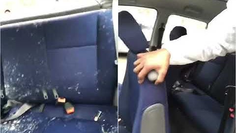 SCHIMMEL in de auto?