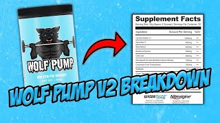 Wolf Pump V2 Breakdown