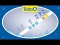 Wasserwerte im Aquarium testen: TETRA 6in1 Test