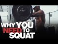 Why you need to squat mikerashidofficial