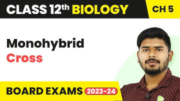 Monohybrid Cross - Principles of Inheritance and Variation | Class 12 Biology (2022-23)