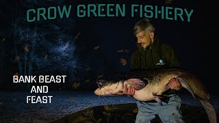 Celebrity Crow Green Fishery — James’ New PB Catfish & Bankside Feast Net Worth