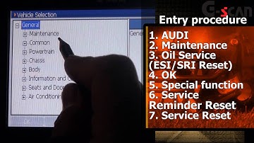 G-scan Service Reminder Reset(Oil Reset) on a Audi A8 4.2 Quattro 2006.wmv