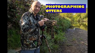 WILDLIFE PHOTOGRAPHY : Photographing Otters