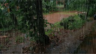 ? Rain and Thunder Sounds for Sleep - Rain in Rural Indonesia