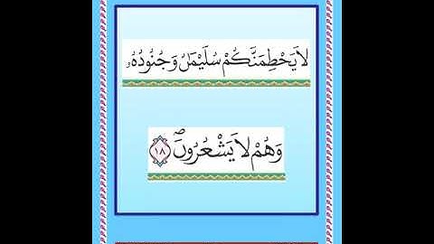 سورة  النمل من  آية ١ إلى آية ٤٦    رواية ورش عن نافع تلاوة الشيخ محمد عبد الكريم