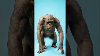 What Animals REALLY Look Like Without Fur Warning:It’s Weird! #wildlifefacts #nature #animalanatomy