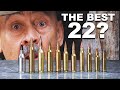 22 creedmoor vs all 22 centerfires