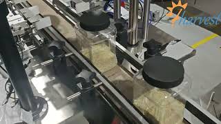 Automatic 2-Head Servo Capper - High Speed Screw Capping for Snacks Jars