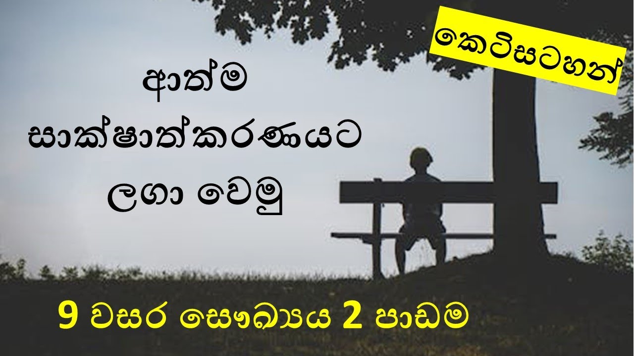 Grade 9 health lesson 2 [ ආත්ම සාක්ෂාත්කරණයට ලගා වෙමු ] 9 ශ්‍රේණිය 2 පාඩම. Short notes.