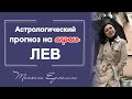 Шедевральный апрель для Льва ! Советы астролога Львам на апрель 2021 года