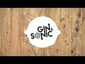 Avril lavigne  what the hell gin and sonics hypertechno remix