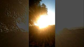 linda vista con el árbol y sol en el rancho los alamitos #aguascalientes #mexico #paisajes #turismo