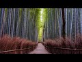 Path | Beautiful Chill Music Mix