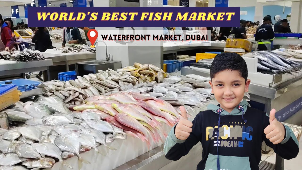 Fish Market Dubai Best Fish Market In Dubai YouTube