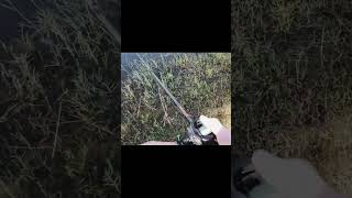 Unreal Monster Catch – Biggest Fish Fight Ever! #fishing #shortsviral #hunting #foryouシ