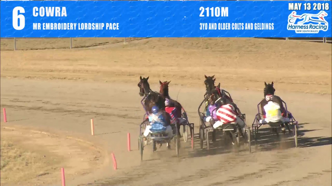 Cowra  13052018  race 6  mr embroidery lordship pace  youtube Cowra  13052018  race 6  mr embroidery lordship pace  youtube