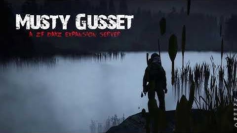 DayZ ZF Custom Main Menu Music Extended - Bavon (Music)