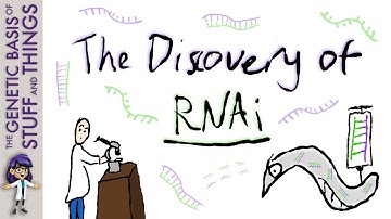 The discovery of RNAi – double-stranded RNA worms its way into gene regulation