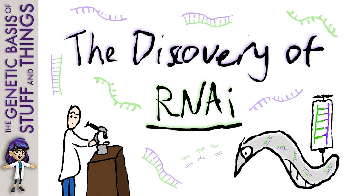 The discovery of RNAi – double-stranded RNA worms its way into gene regulation - DayDayNews