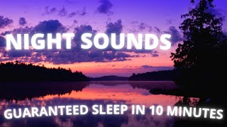Soothing Night Sounds - 1 Hour Relaxing Sleep Soundspace, Crickets, Sea Noise